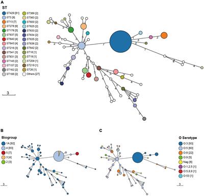 Whole-genome sequencing-based prediction and analysis of antimicrobial resistance in Yersinia enterocolitica from Ningxia, China